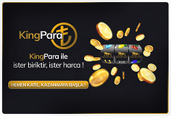 kingbetting hakkında